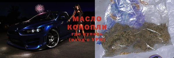 молекула духа Няндома