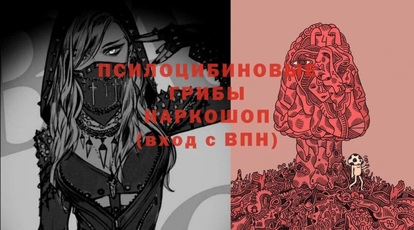 крисы Алзамай