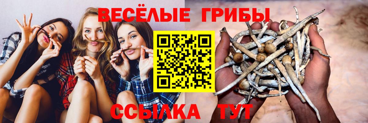 Галлюциногенные грибы мухоморы  Вход с VPN  Находка 
